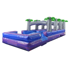 Dual Lane Purple Slip n Splash with Pool